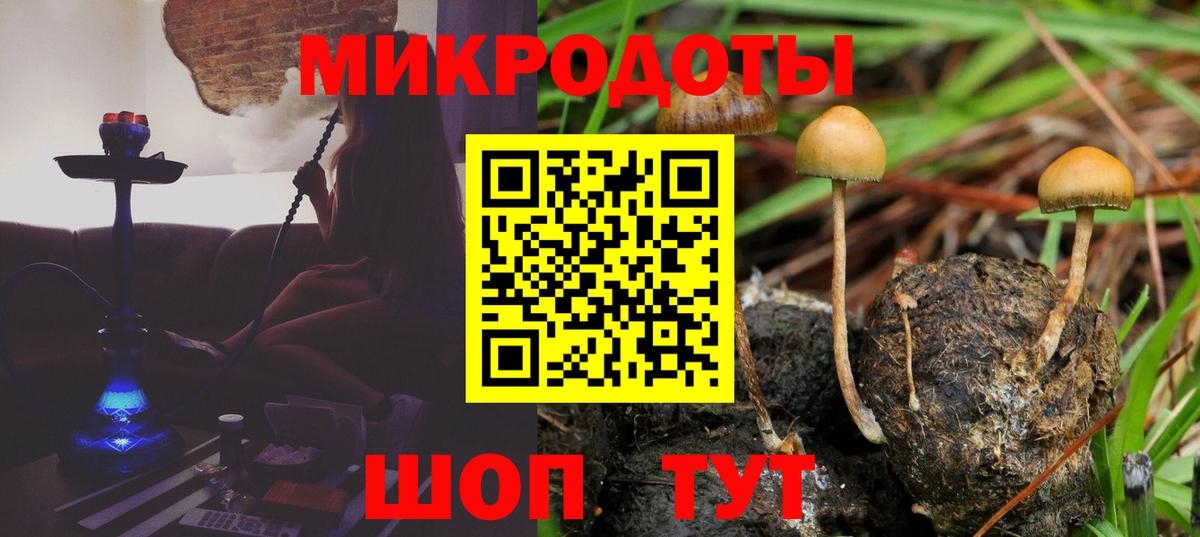 Галлюциногенные грибы прущие грибы  Вход с VPN  Псилоцибиновые грибы мухоморы  Серов 