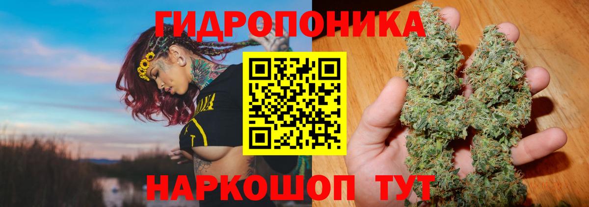 Конопля индика  Каннабис AK-47  Вход с VPN  Марихуана Ganja  Серов 